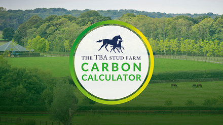 CarbonCalculator-site.jpg