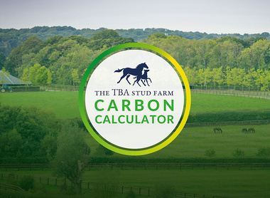 CarbonCalculator-site.jpg