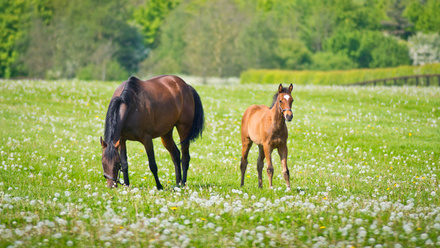 A.SMY_TBA Newsells0369.jpg