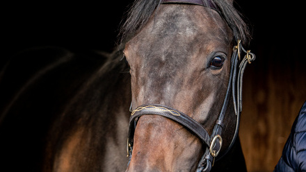 TBA - Domcaster - 2023-74.jpg