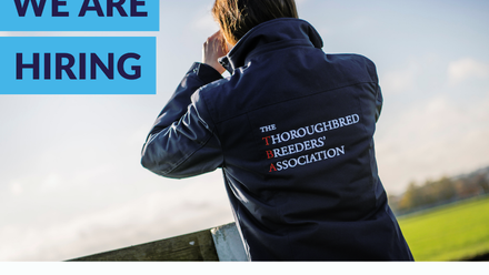 We are hiring (Facebook Post).png 1