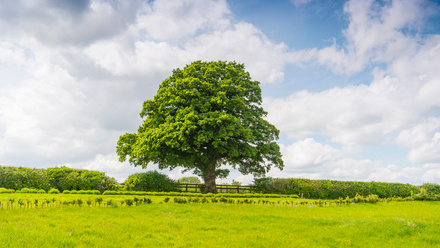 A.SMY_2022AlneParkStud1470_Alice Bletsoe-Brown.jpg