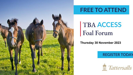 TBA Access foal forum image.jpg