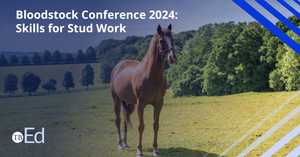 Social post 2 (3).png