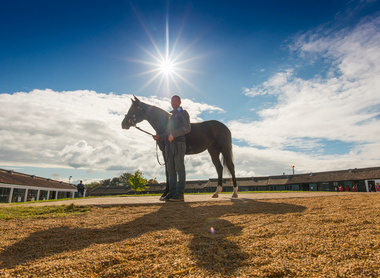 Tattersalls Sales