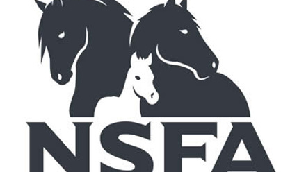 NSFA-logo.jpg