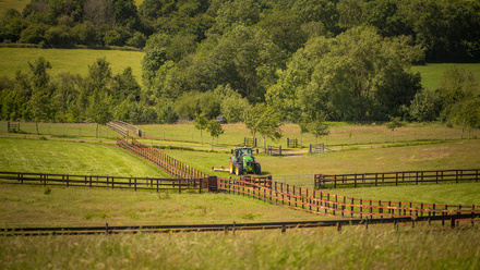 worming and paddock management.jpg