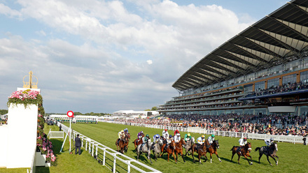 Ascot-0001.jpg 1