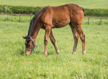 A.SMY_2022AlneParkStud0928.jpg 1