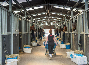 A.SMY_2022AlneParkStud1880.jpg